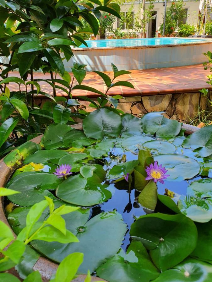 Blue Paradise Bungalow Phu Quoc Exteriör bild